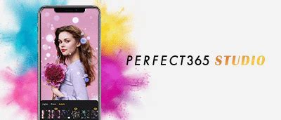 perfect365 online|INTRODUCING Perfect365 Studio.